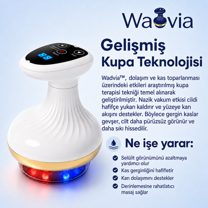 Wadvia™ GlowStyling Daha Sıkı, Daha Düzgün Bir Cilt